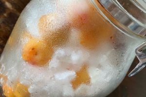 氷砂糖で作った冷凍法梅シロップ