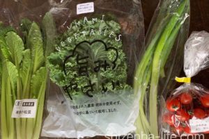 コープ自然派　若手の畑応援セット（ミニ）お届けセット野菜　4品